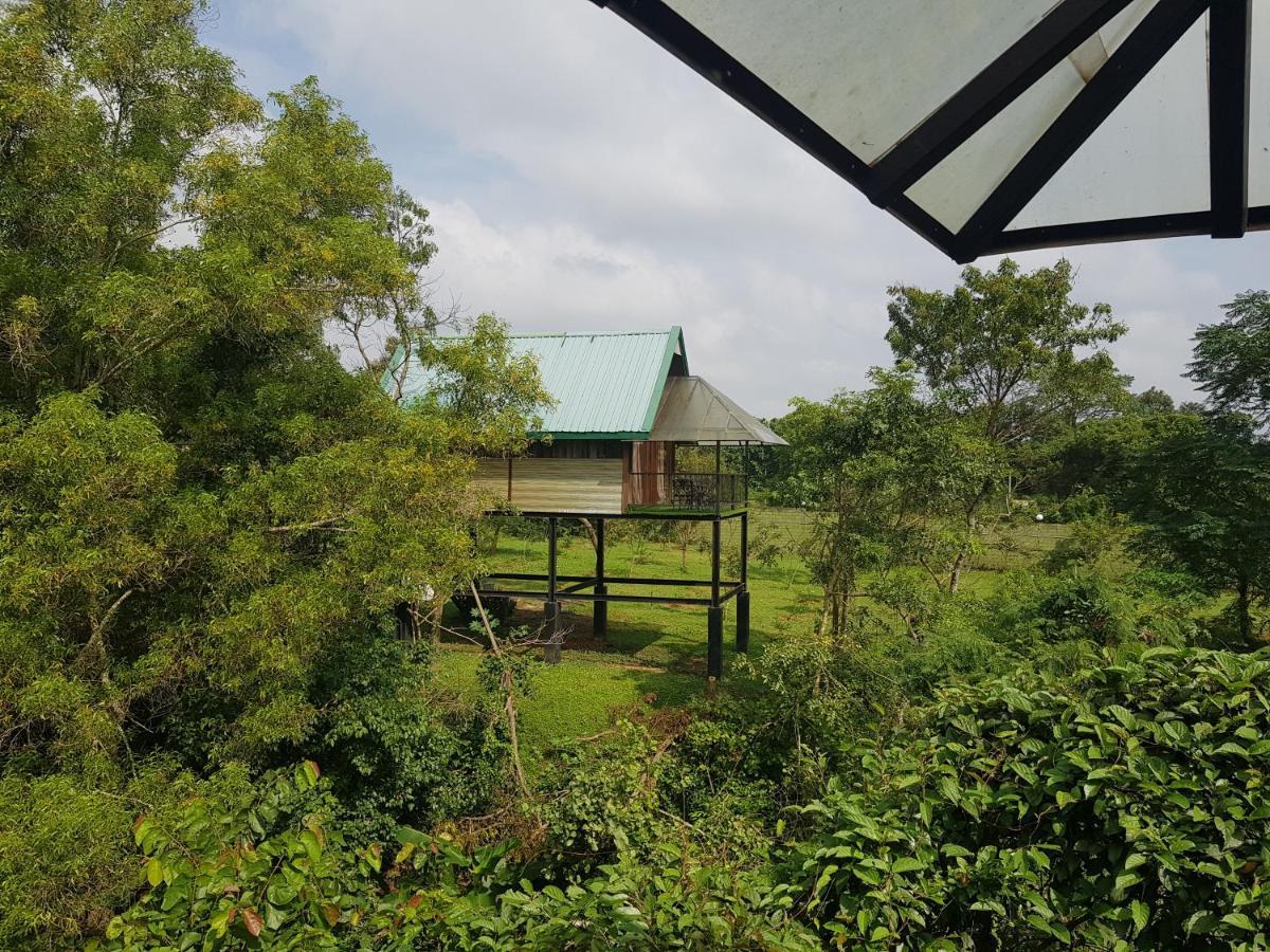 Nice Place Resort Dambulla Exterior foto
