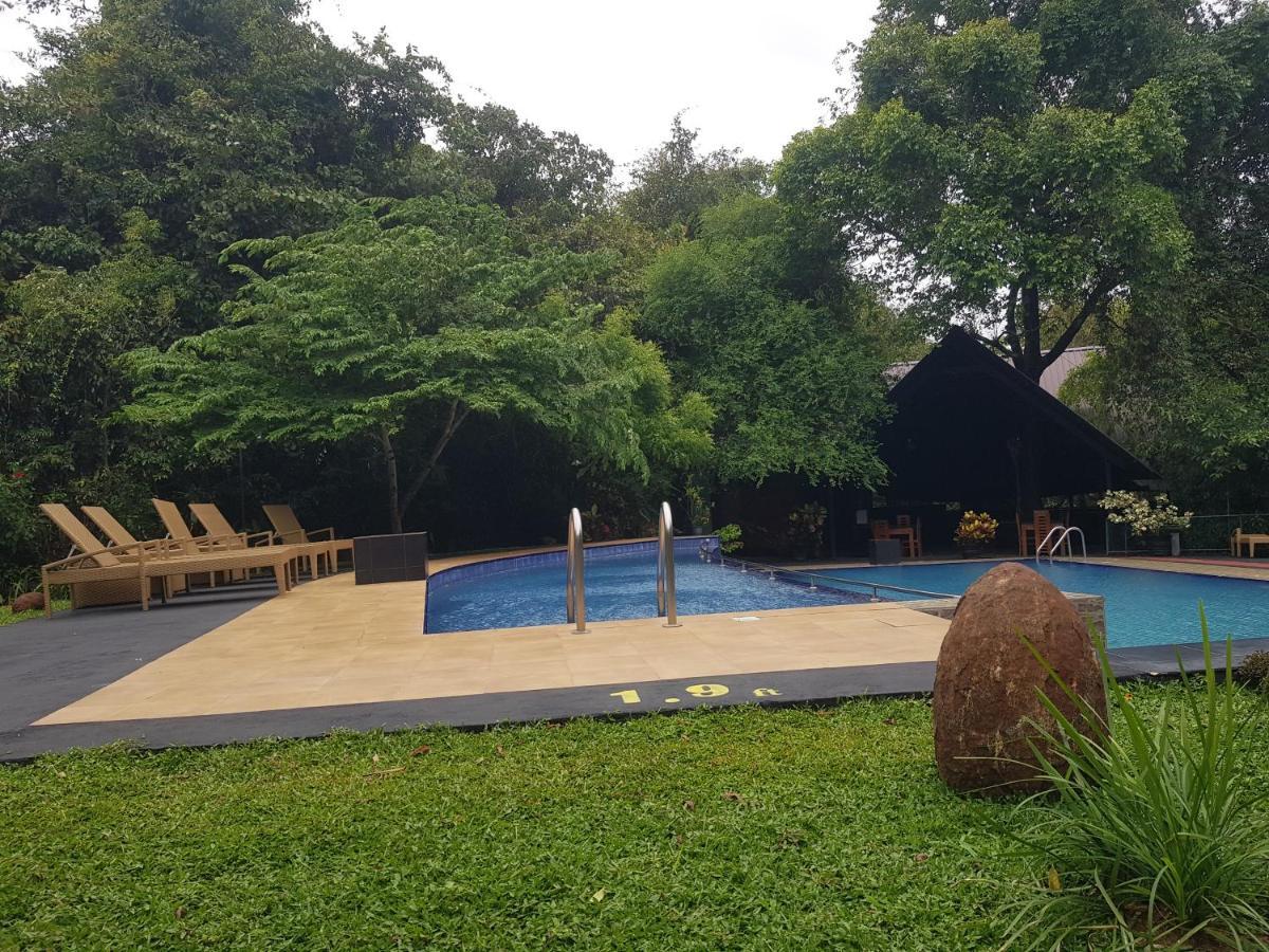 Nice Place Resort Dambulla Exterior foto