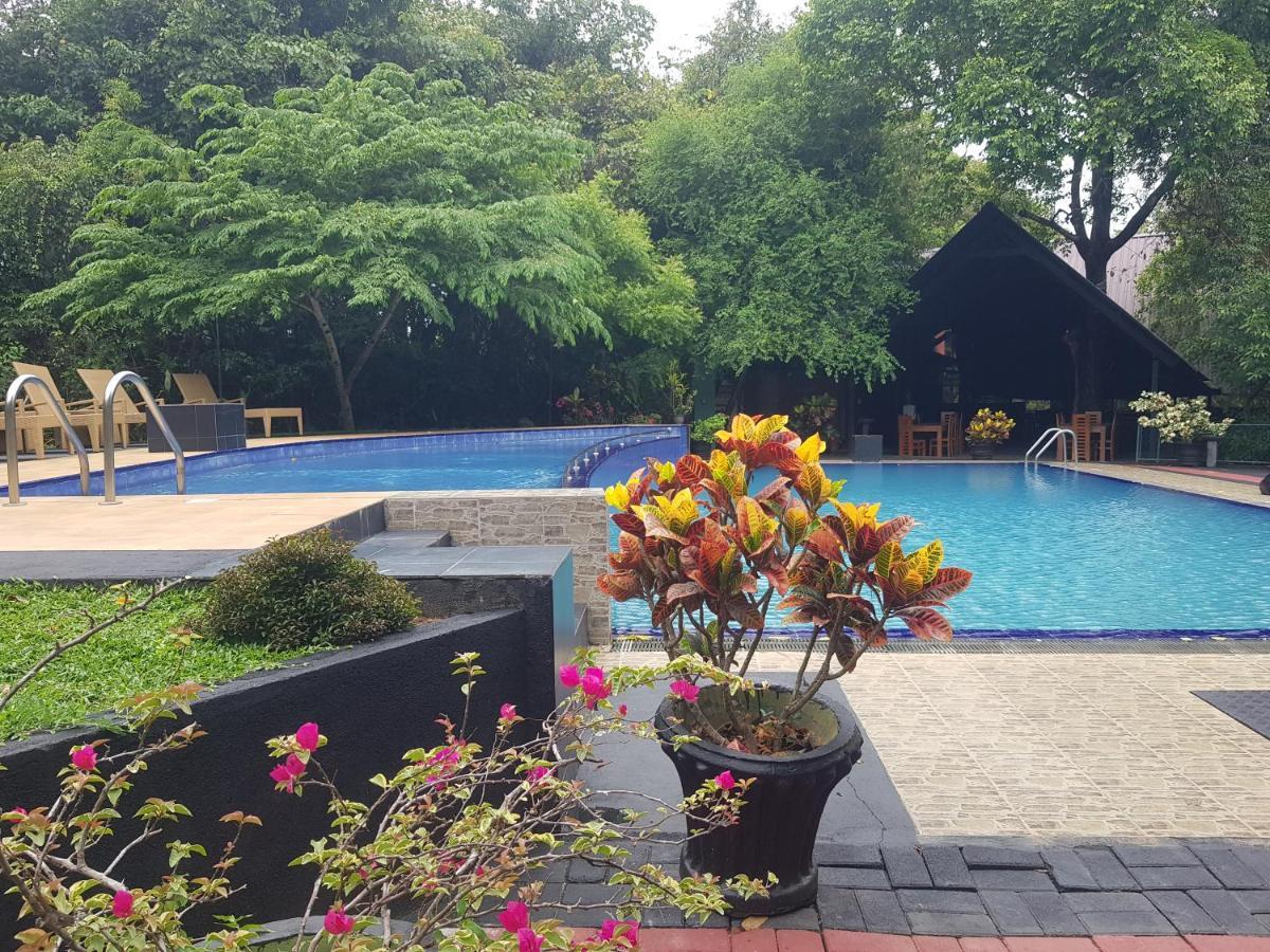 Nice Place Resort Dambulla Exterior foto