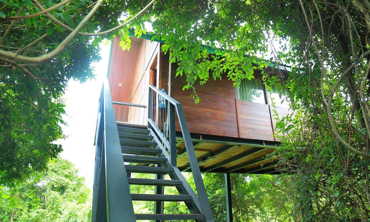 Nice Place Resort Dambulla Exterior foto