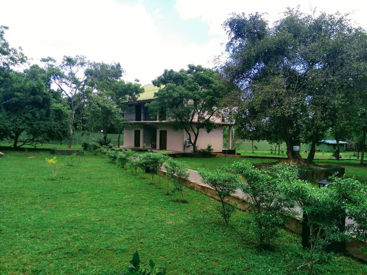 Nice Place Resort Dambulla Exterior foto